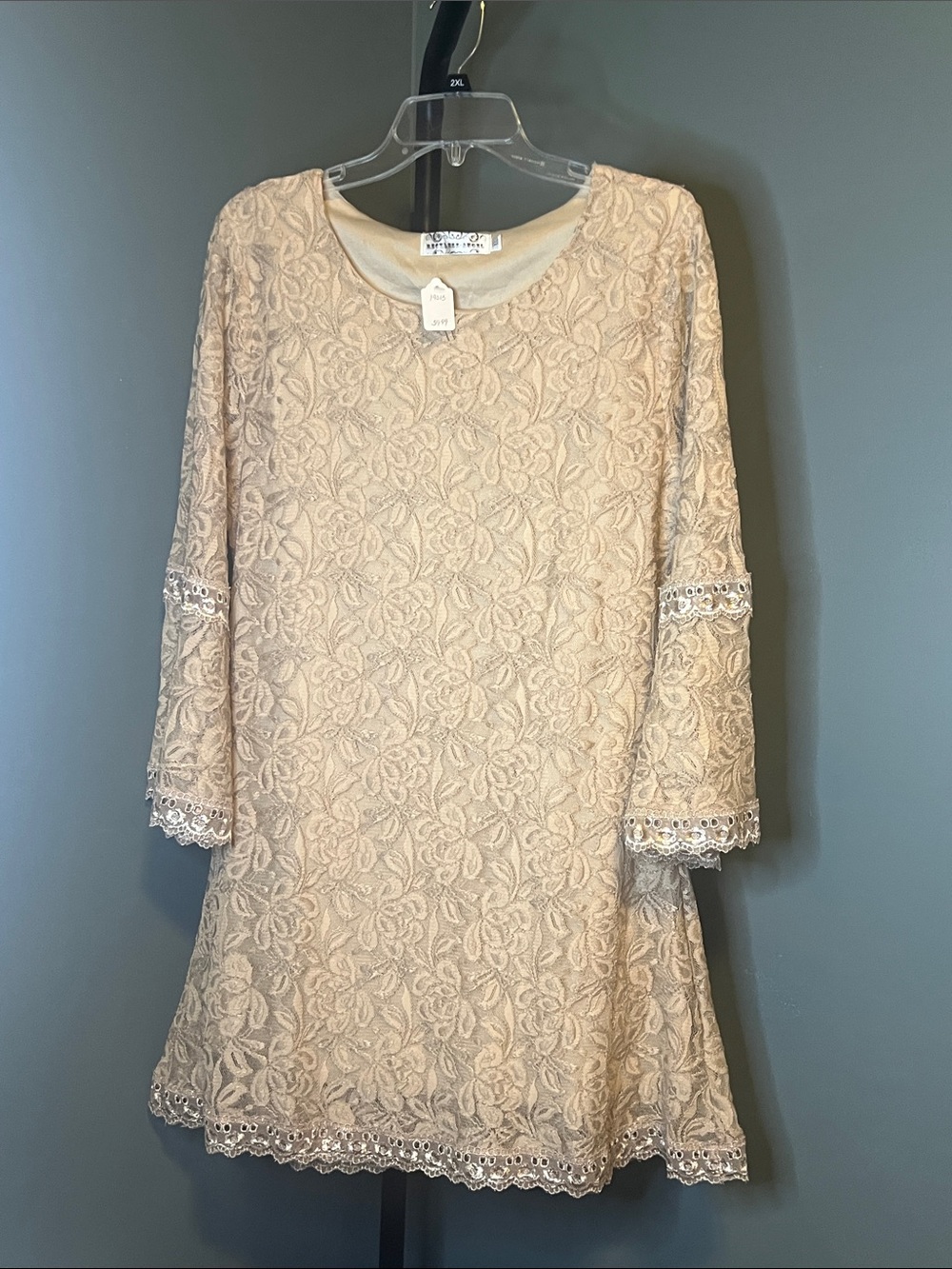 Reckless Angel Lace Long-Sleeve Shift Dress in Cream